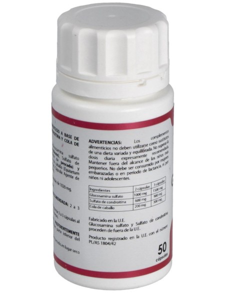 Holomega Glucaforte Plus 50Cap. de Equisalud