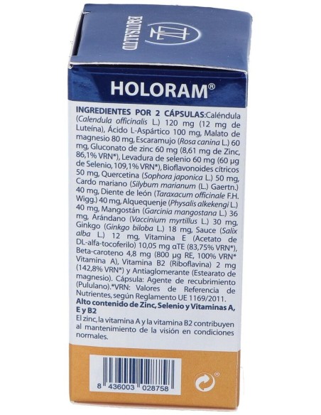 Holoram Vision 60Cap. de Equisalud