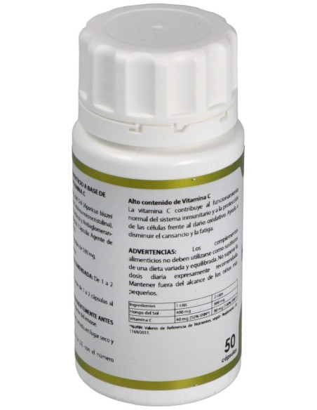 Holofungi Hongo Del Sol 50Cap. de Equisalud