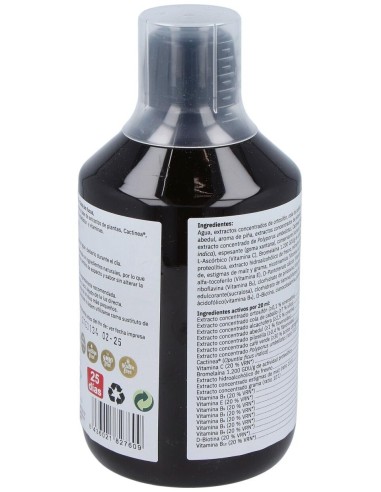 Slank Water Top Action Gold 500 Ml Sin Fucus de Reddir