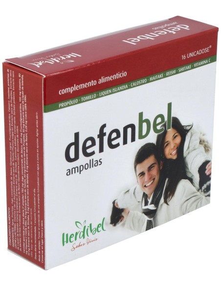 Defenbel 16Amp. de Herdibel