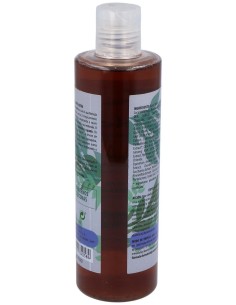 Champu Anticaida 300Ml. (Ref.382) de Algologie 2