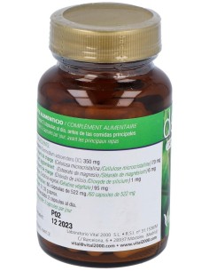 Desmodium 60Cap. de Vital 2000 2