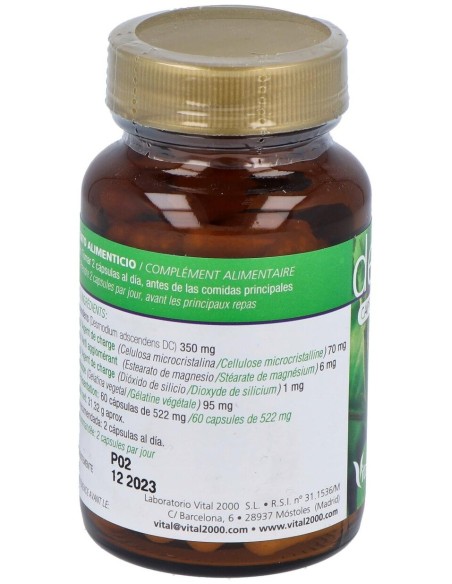 Desmodium 60Cap. de Vital 2000