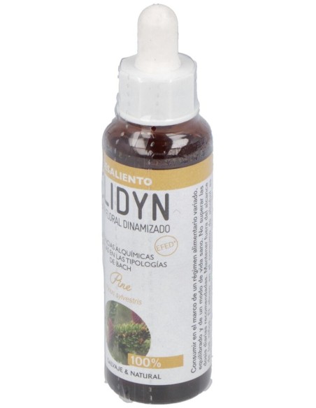 Pine 20Ml. de Elidyn