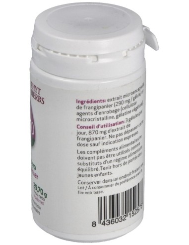 Pp40 90Cap. de Ifigen