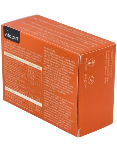 Vitalart Articular 60 Comp. de Vitalart 2