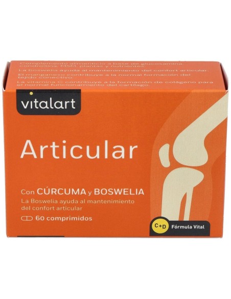 Vitalart Articular 60 Comp. de Vitalart