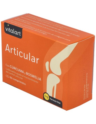 Vitalart Articular 60 Comp. de Vitalart