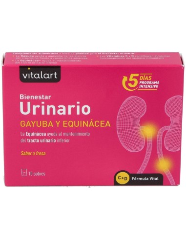 Vitalart Bienestar Urinario 10 Sobres de Vitalart