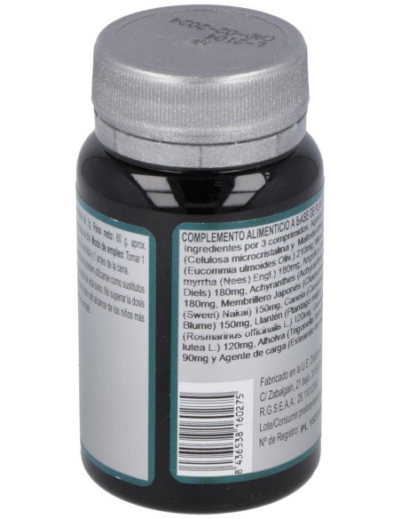 Izar 17 60Comp. de Erlingen