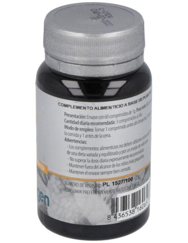 Izar 33 60Comp. de Erlingen