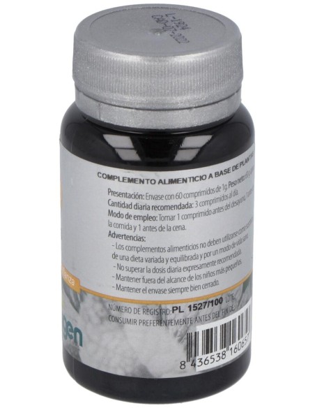 Izar 33 60Comp. de Erlingen