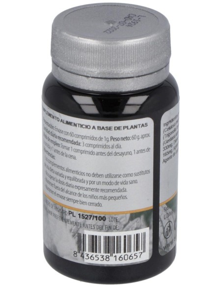 Izar 33 60Comp. de Erlingen