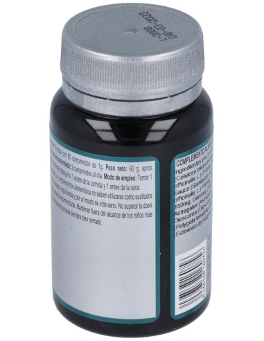 Izar 40 60Comp. de Erlingen