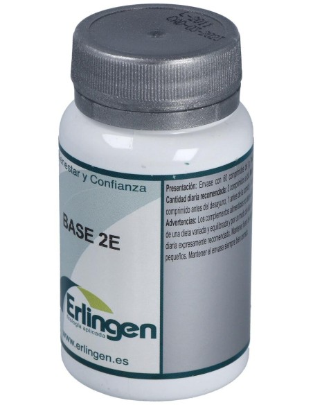 Base 2E 60Comp. de Erlingen