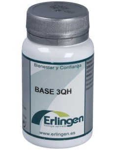 Base 3Qh 60Comp. de Erlingen 2