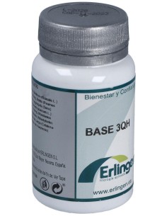 Base 3Qh 60Comp. de Erlingen 2