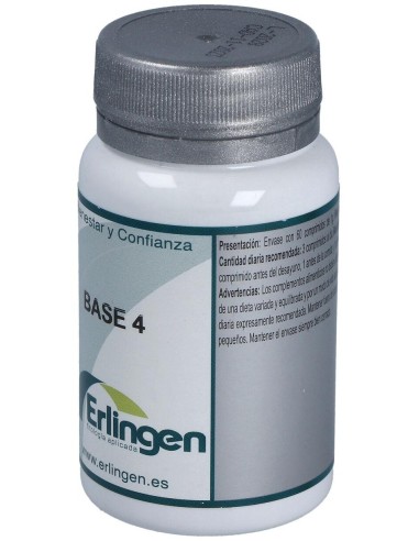 Base 4 60Comp. de Erlingen