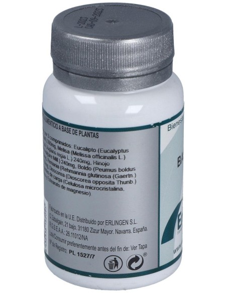 Base 5 60Comp. de Erlingen