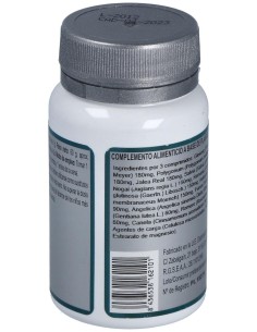 Base 6 60Comp. de Erlingen 2