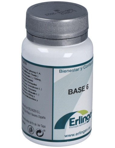 Base 6 60Comp. de Erlingen