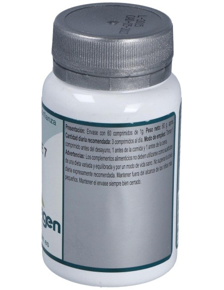 Base 7 60Comp. de Erlingen