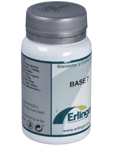 Base 7 60Comp. de Erlingen