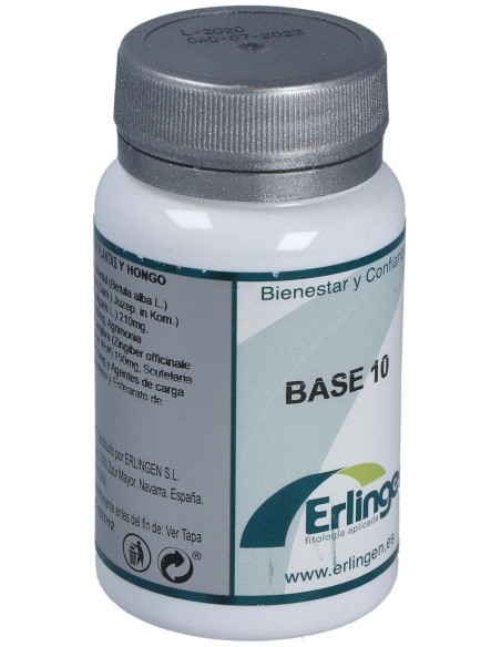 Base 10 60Comp. de Erlingen