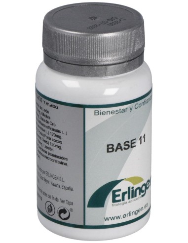 Base 11 60Comp. de Erlingen