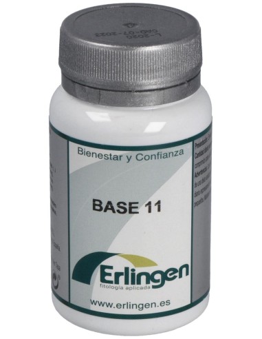 Base 11 60Comp. de Erlingen
