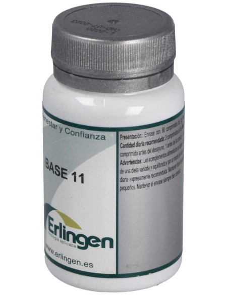 Base 11 60Comp. de Erlingen