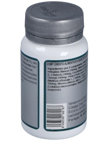 Base 16 60Comp. de Erlingen