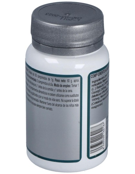 Base 16 60Comp. de Erlingen