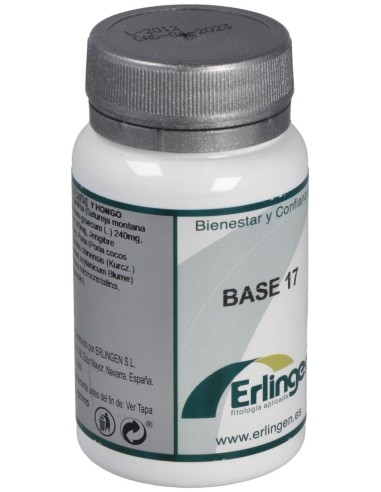 Base 17 60Comp. de Erlingen