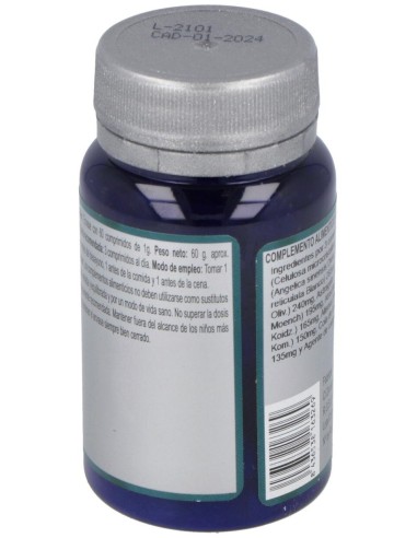 Especifico 171 60Comp. de Erlingen