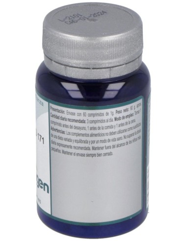 Especifico 171 60Comp. de Erlingen