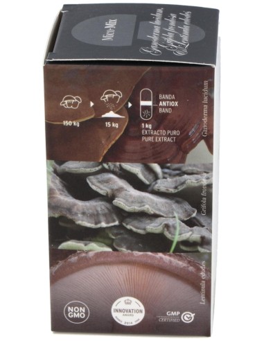 Mico Mix 70 capsulas de Hifas da Terra