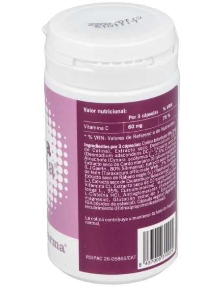 Hepastevia 50Cap. de Steviapharma