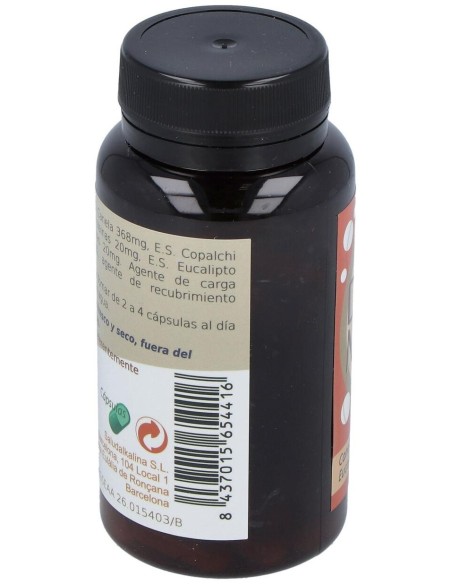 Diabemina 85Cap. de Saludalkalina