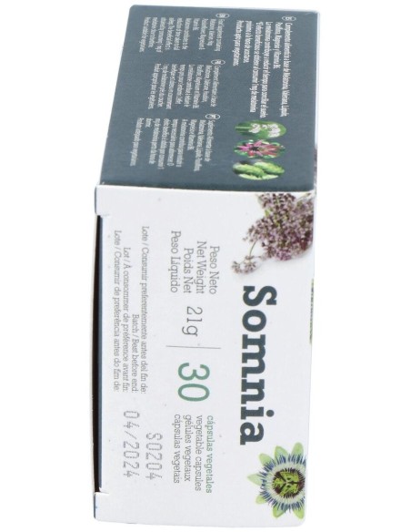 Somnia 30Cap. de Betula