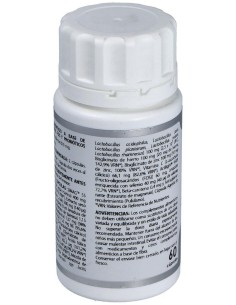Microbiota Lactagest 60Cap. de Equisalud 2