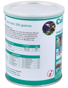 Colagem Complex 330Gr. de Dis 2
