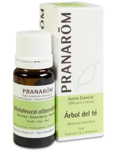 Arbol Del Te Hoja 10 Ml de Pranarom Aceites 2