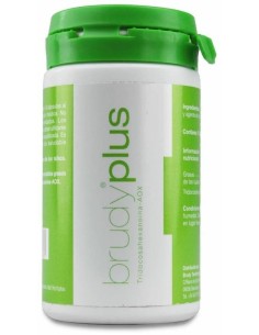 Brudy Plus 90 Cap. de Brudy 2