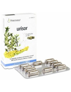 Urisor de Pharmasor 2