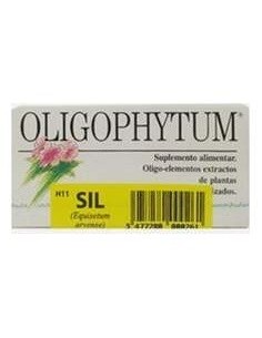 Oligophytum Silicio 100Gra de Holistica 2