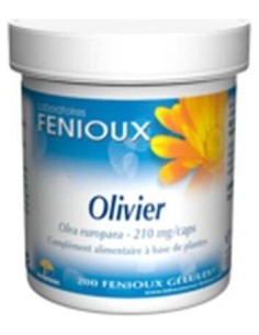 Olivo 200Cap. de Fenioux 2