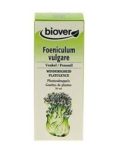 Ext. Foeniculum Vulgare (Hinojo) 50Ml. de Biover 2