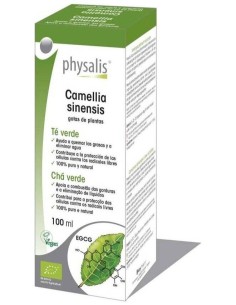 Tintura Camellia sinensis (Té Verde) de Physalis 2